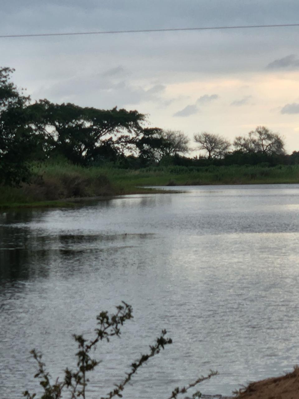 Piqueniques e pesca